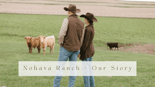 From Our Pastures to Your Plate — Life Behind the Scenes at Nohava Ranch