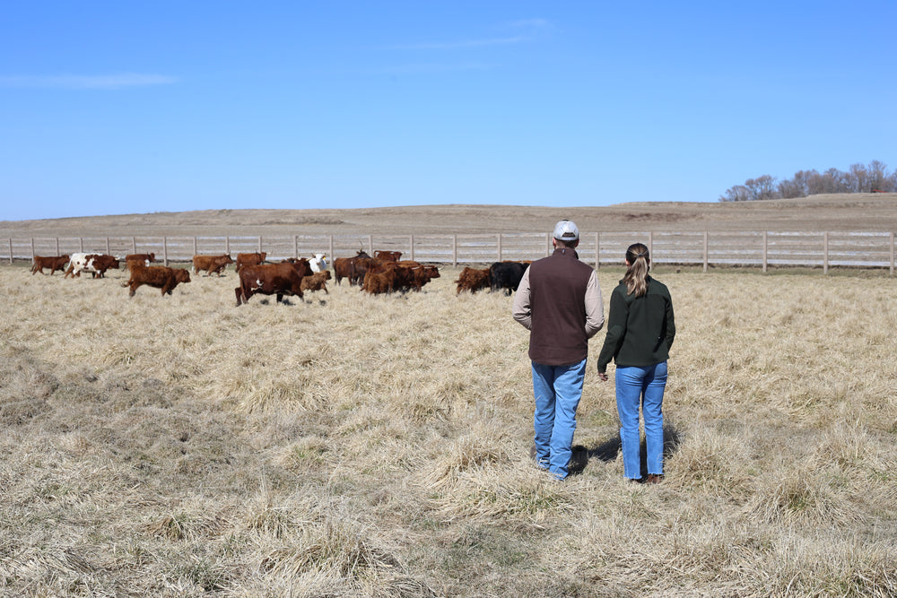 Our Process – Nohava Ranch