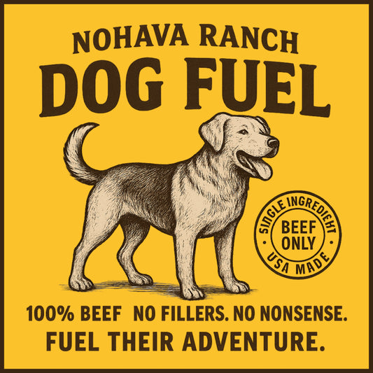 Dog Fuel