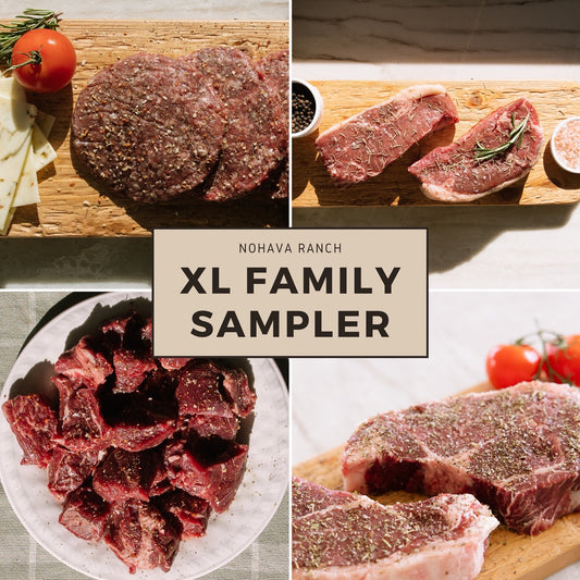 XL Family Sampler Box